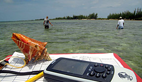 factpic12 factpic12