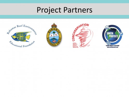 website project partners
